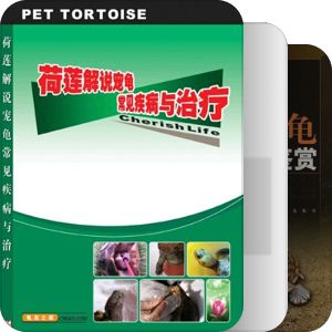 龟鉴赏