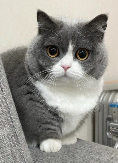 果然。洗完澡顺眼多了～