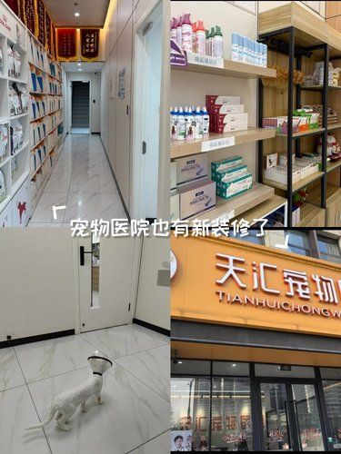 带着毛孩子体检的一天