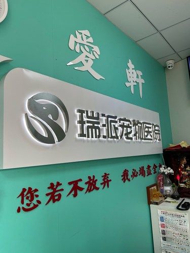安心陪诊服务，我体验了