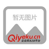 边河黑猪 黑猪养殖基地 黑猪养殖场 黑猪肉品牌-庆昌