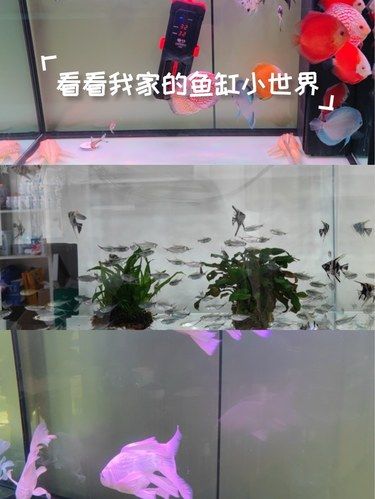 邂逅超棒水族馆，开启亲子欢乐时光