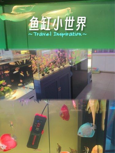 绝了！被这家水族馆拿捏住了