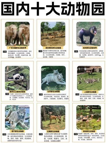 国内亲子游，top10动物园大盘点！