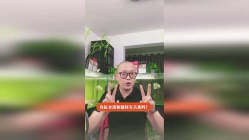 鱼缸水清和滤材有关系吗？