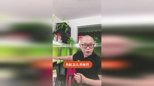 鱼缸怎么养绿苔