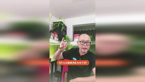 为什么过滤强鱼缸水还不清？