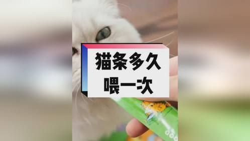 猫咪一天吃一根猫条多吗？猫条应该多久喂一次？