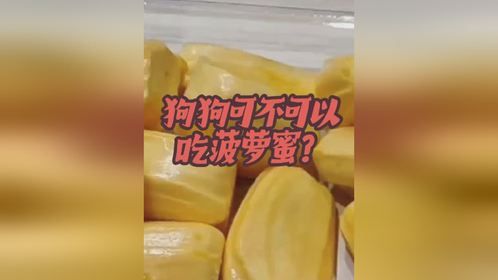 狗狗可不可以吃菠萝蜜？