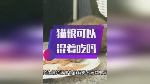 猫粮可以混着吃吗？猫粮混着吃要什么比例？