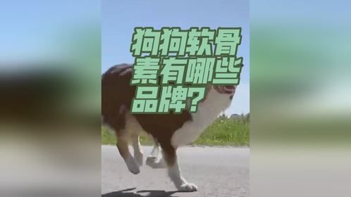 狗狗软骨素十大品牌