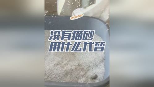 家里没有猫砂怎么应急？什么东西可以临时替代猫砂？