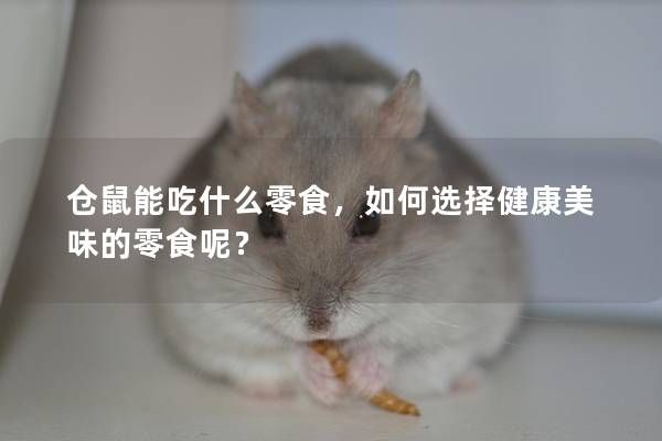 仓鼠能吃什么零食，如何选择健康美味的零食呢？