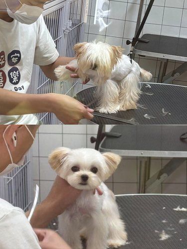 顾客在店里拍的买家秀❤️