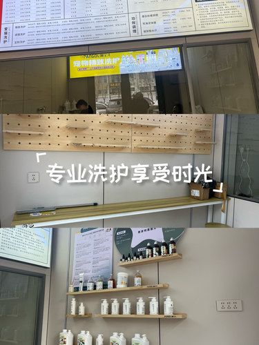 #超级棒的宠物洗护店