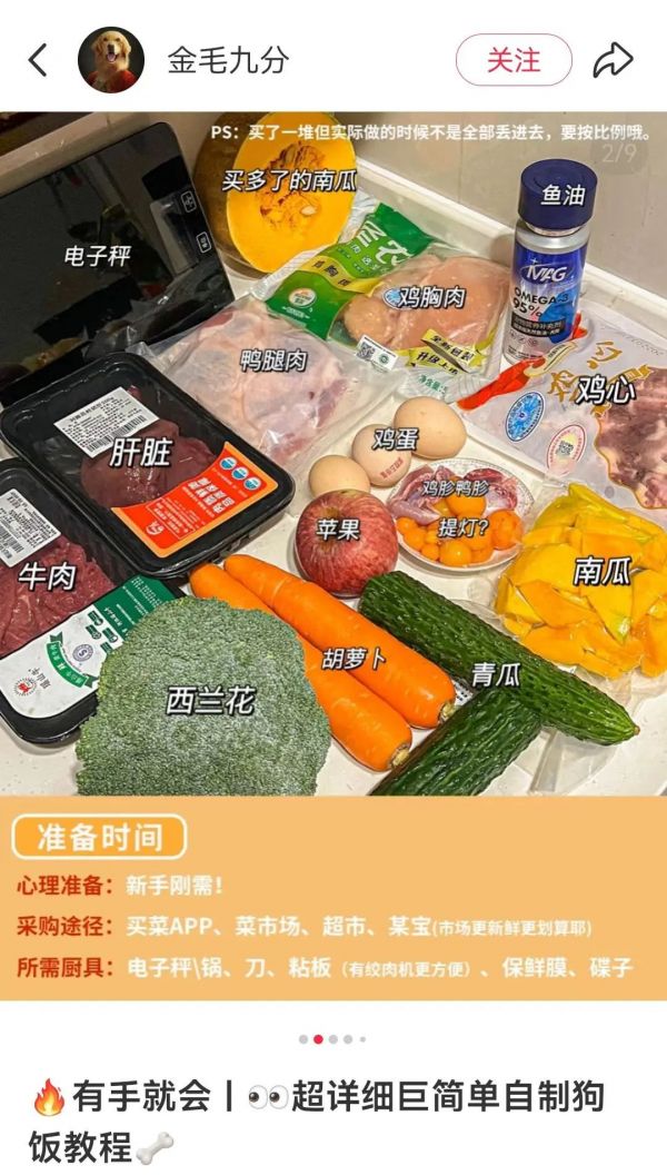 宠物吃美食__宠物吃货
