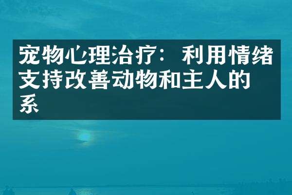 宠物心理治疗：利用情绪支持改善动物和主人的关系