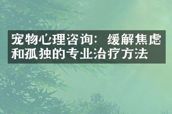 宠物心理咨询：缓解焦虑和孤独的专业治疗方法