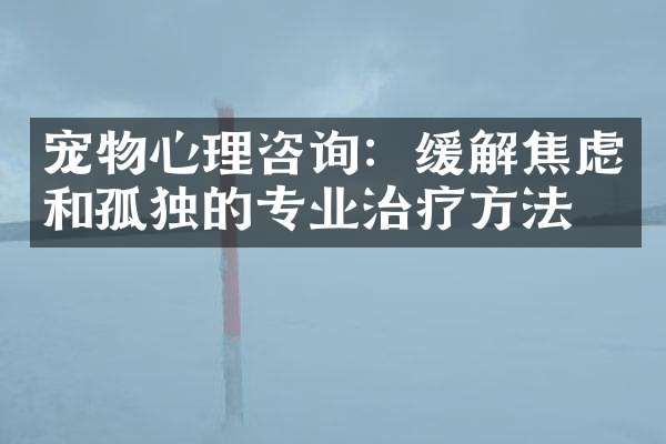 宠物心理咨询：缓解焦虑和孤独的专业治疗方法