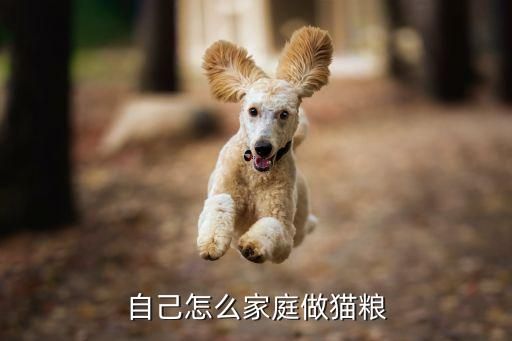 自己怎么家庭做猫粮