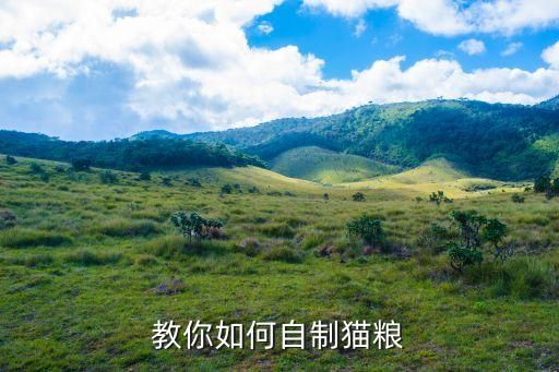 教你如何自制猫粮
