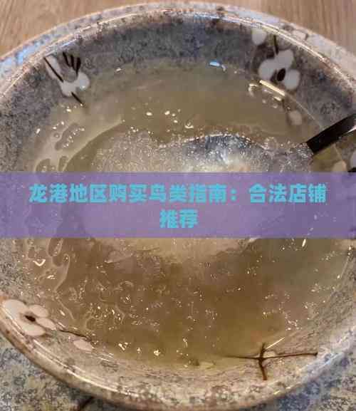 龙港地区购买鸟类指南：合法店铺推荐