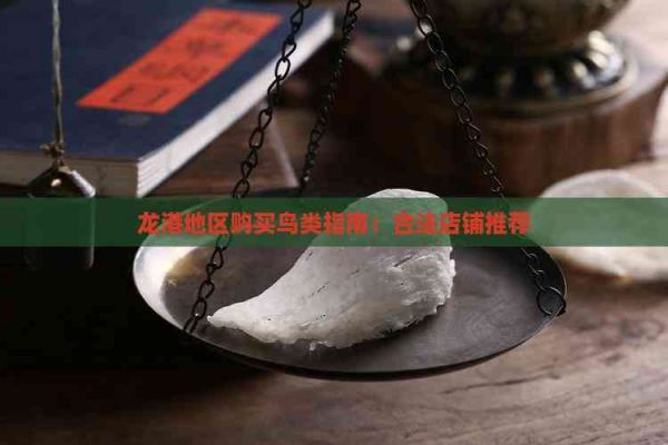 龙港地区购买鸟类指南：合法店铺推荐