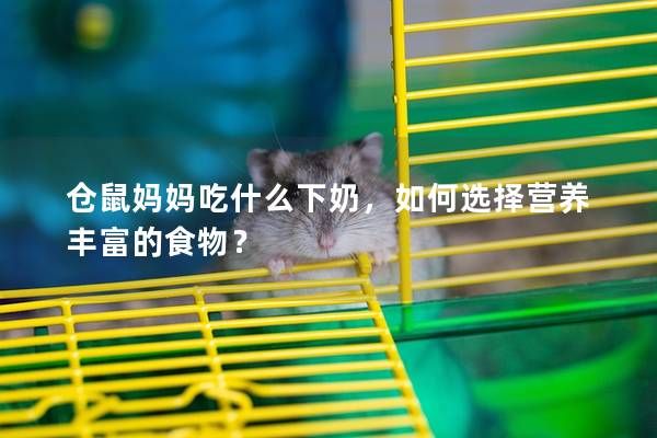 仓鼠妈妈吃什么下奶，如何选择营养丰富的食物？