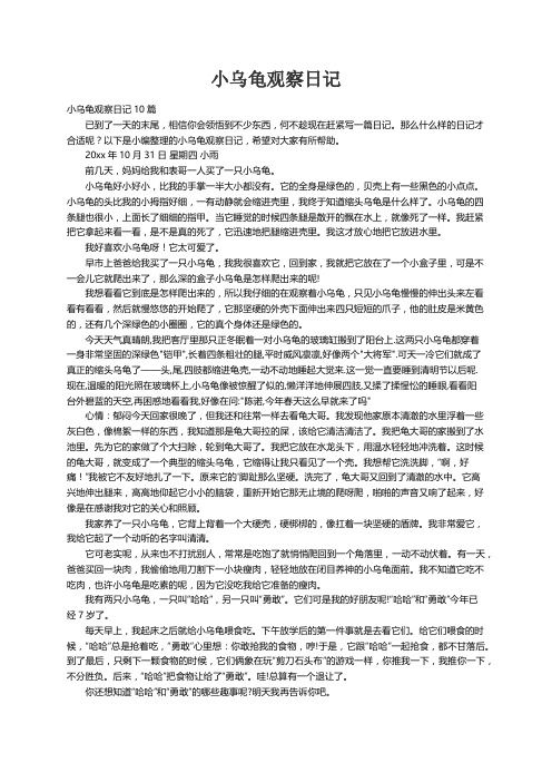 小乌龟观察日记10篇