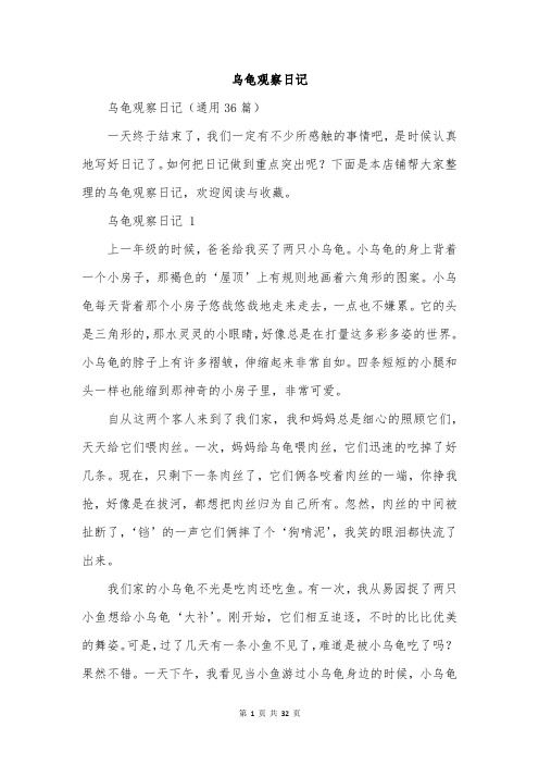 乌龟观察日记