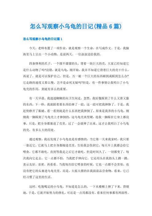 怎么写观察小乌龟的日记(精品6篇)