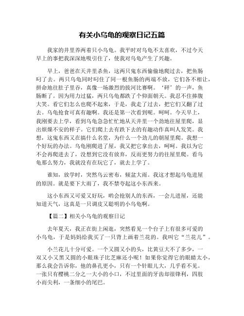 有关小乌龟的观察日记五篇