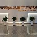 天津河东区绿植租赁养护公司 天津花卉租摆中心