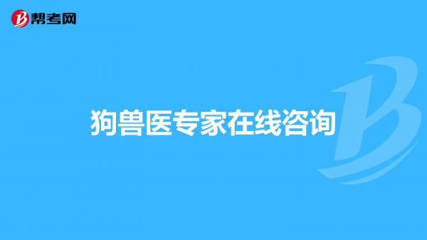 狗兽医专家在线咨询