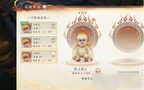 天龙八部2飞龙战天手游宠物繁殖技巧