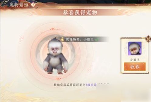天龙八部2飞龙战天手游宠物繁殖技巧