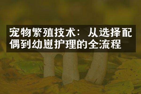 宠物繁殖技术：从选择配偶到幼崽护理的全流程