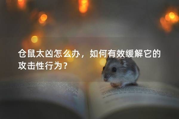 仓鼠太凶怎么办，如何有效缓解它的攻击性行为？