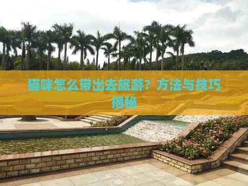 猫咪怎么带出去旅游？方法与技巧揭秘