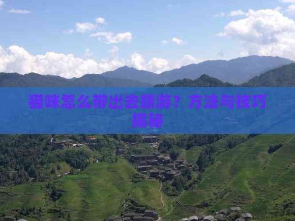 猫咪怎么带出去旅游？方法与技巧揭秘