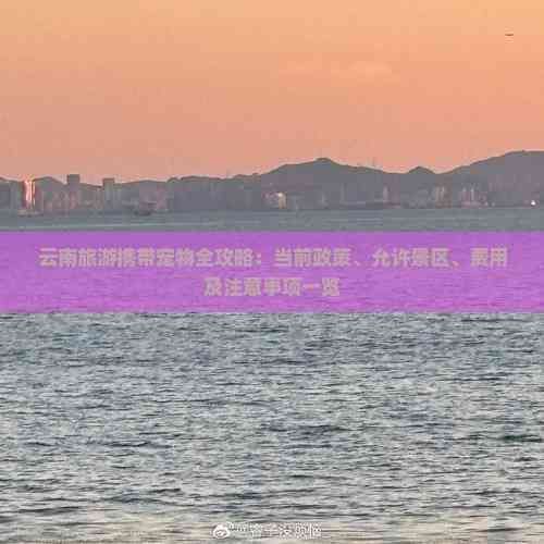 云南旅游携带宠物全攻略：当前政策、允许景区、费用及注意事项一览