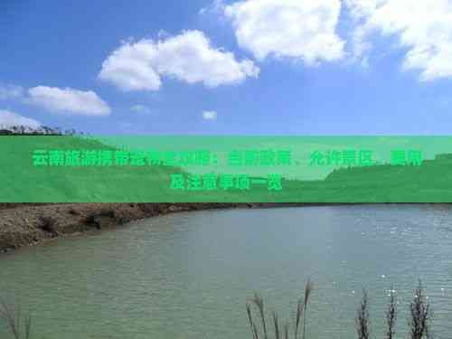 云南旅游携带宠物全攻略：当前政策、允许景区、费用及注意事项一览