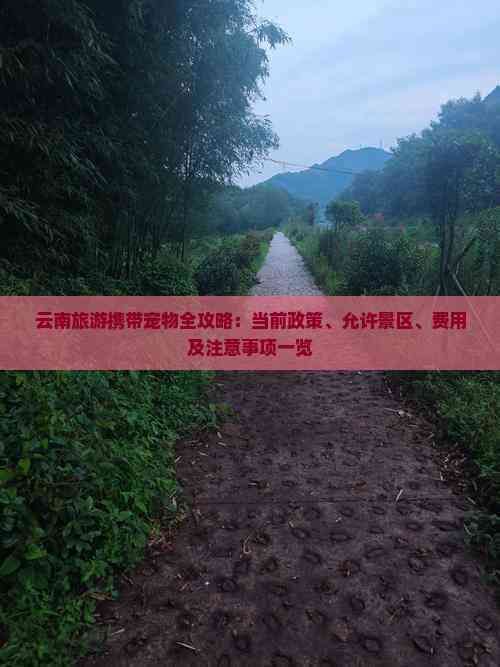 云南旅游携带宠物全攻略：当前政策、允许景区、费用及注意事项一览