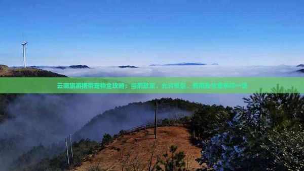 云南旅游携带宠物全攻略：当前政策、允许景区、费用及注意事项一览