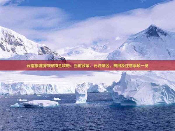 云南旅游携带宠物全攻略：当前政策、允许景区、费用及注意事项一览