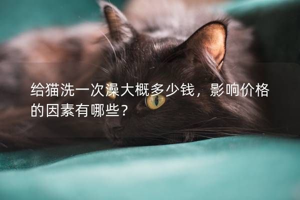 给猫洗一次澡大概多少钱,影响价格的因素有哪些?