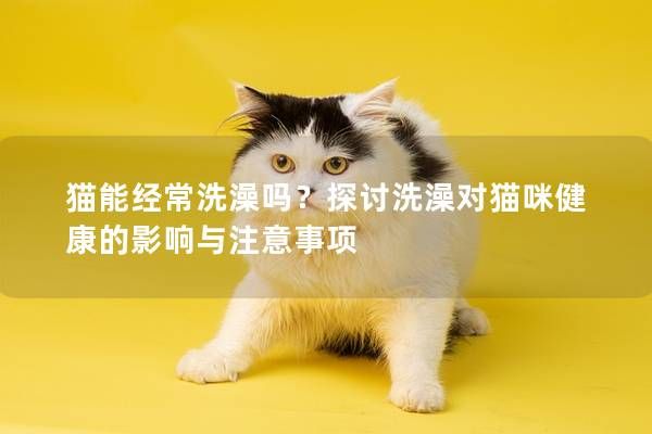 猫能经常洗澡吗?探讨洗澡对猫咪健康的影响与注意事项