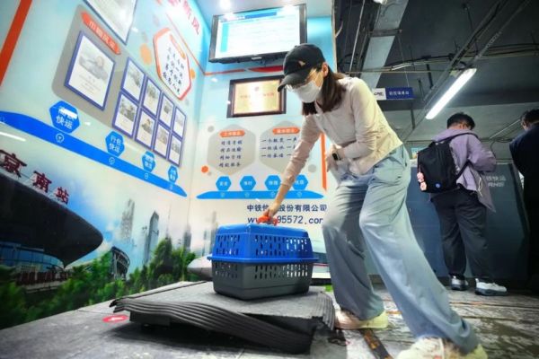 旅客正在进行高铁宠物托运。图源：北京日报
