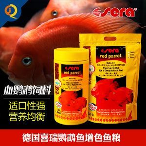 元宝凤凰鱼增色饲料的选择标准（元宝凤凰鱼增色饲料品牌推荐元宝凤凰鱼增色饲料品牌推荐）