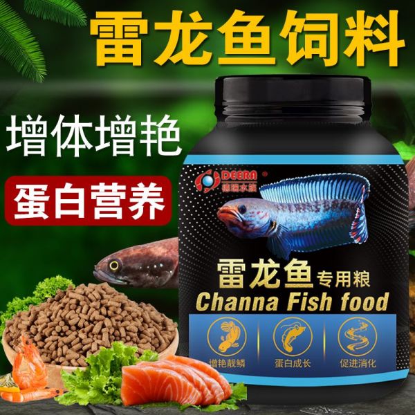雷龙鱼吃什么饲料（雷龙鱼饲料自制方法）